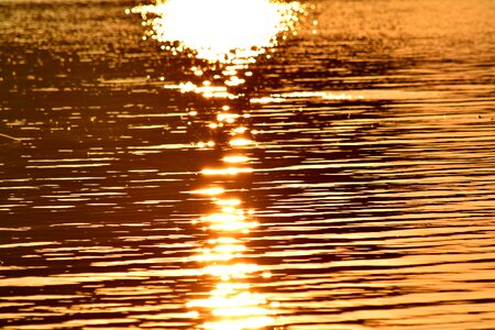 Ocean reflection sunrays