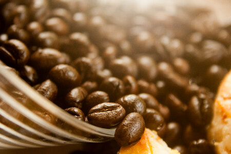 Coffee Beans Bowl photo