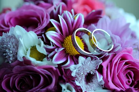 Bouquet rings romantic photo