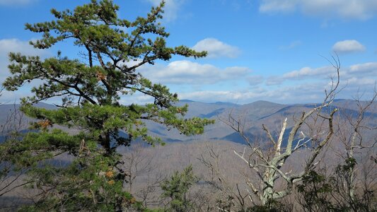 Old Rag Mountain - Shenandoah National Park photo