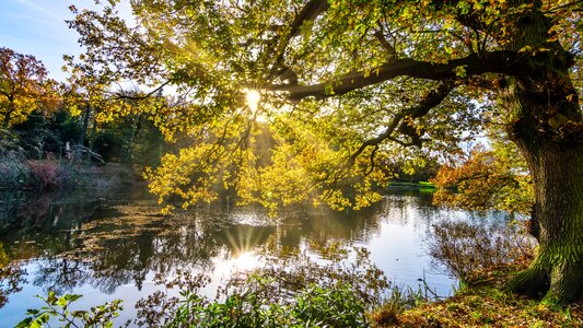 Beautiful Photo branch ecology