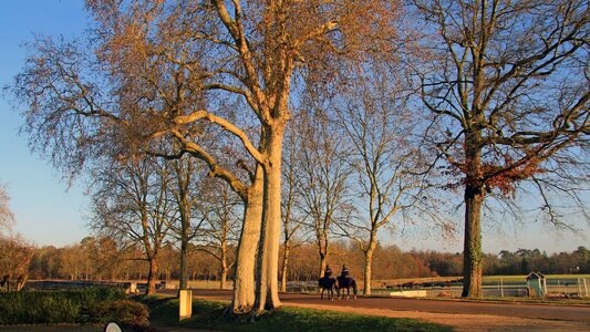 Chambord landscape france