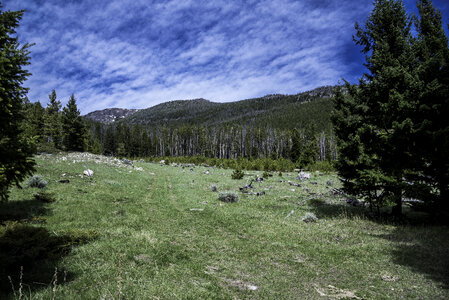 Green hills, grass field, and blue skies in the Elkhorn Mountains photo