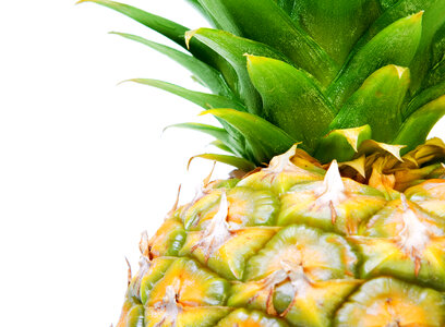 Pineapple Close Up
