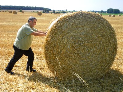 Work straw harvest