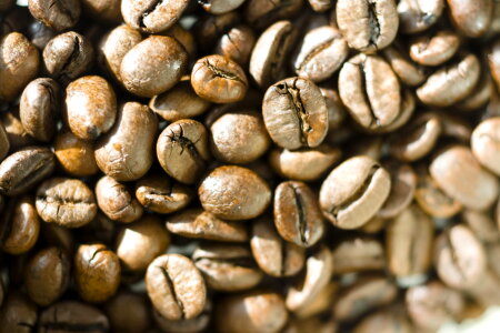 Coffee Beans Background photo