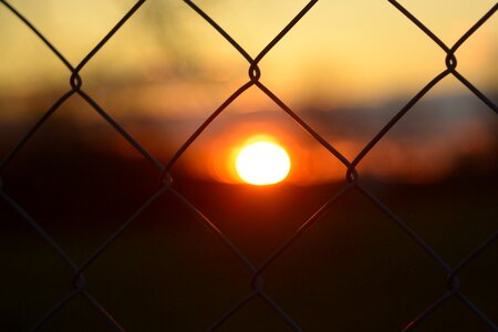 Sunset fence grid
