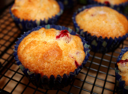 Cranberry Muffins Pastery photo