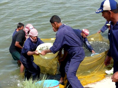 Fish labor people
