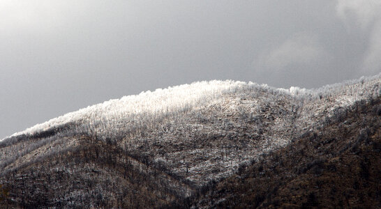 Snow on the Mountaintop landscape