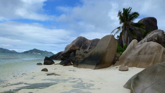 Rock beautiful beach palm trees