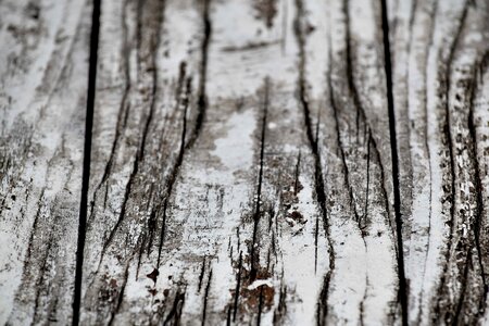 Black And White monochrome paint