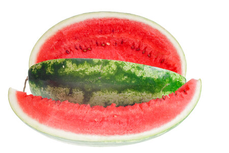 watermelon photo