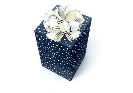 Blue Gift with Ribbon