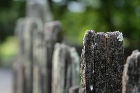 Fence rustic depth of field photo