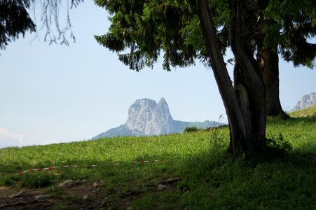 Alm alpine summer meadow photo