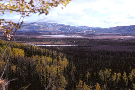Scenic View of Tetlin National Wildlife Refuge-6