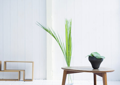 Detail of a bright modern living room with plant photo