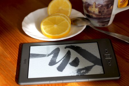 Eink mobile device reading
