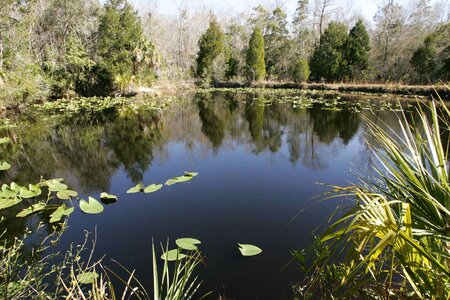 Aquatic camp environment