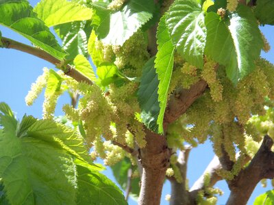 Organic agriculture outdoors