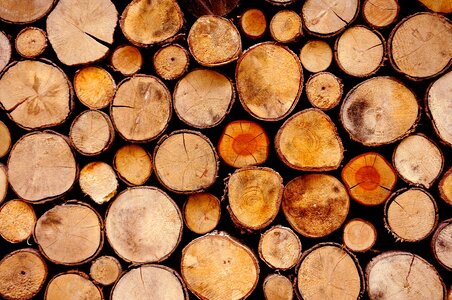Logs lumber brown wood photo