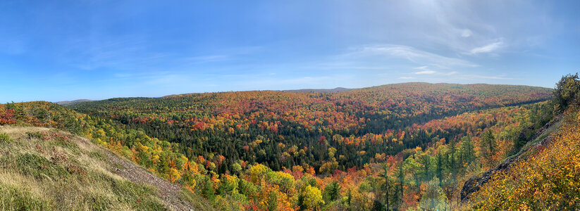 Colored Trees of the Autumn Forest panoramic photo