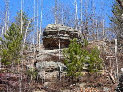 Rocky Bluff and Trees at Quincy Bluff photo