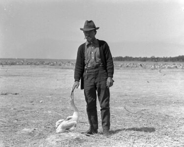 Ancient bird cowboy photo