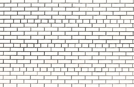 White Brick Wall photo