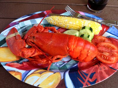 Lobster bake seafood fish photo