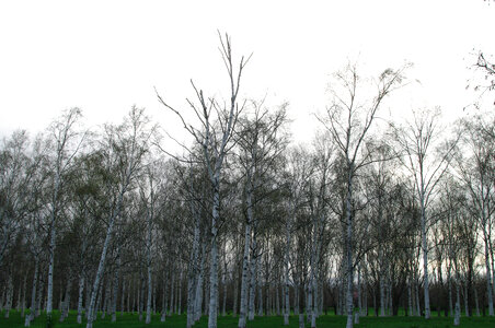 3 Maedashinrin Park 