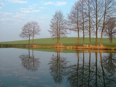 Trees mirroring water