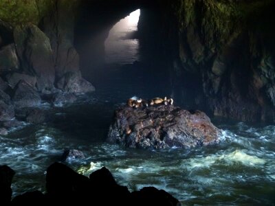 Cave water waves