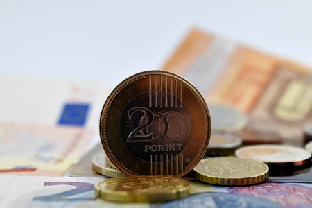 Coins forint gold