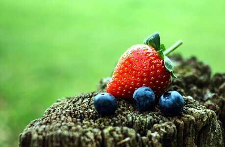 Beautiful Photo berries blackberry