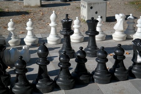 Black white chess game photo