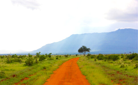 Red Dirt Road Landscape photo