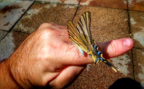 Hand psychology metaphor