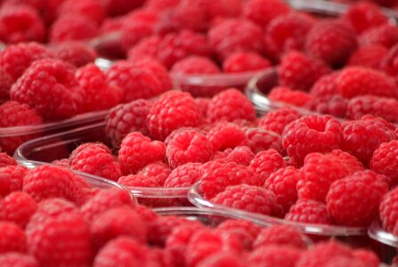 Raspberries / red raspberries / Raspberry fruit / raspberries photo