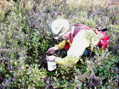 Growth monitor vegetation