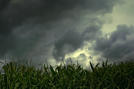 Gewitterstimmung low angle shot rain clouds