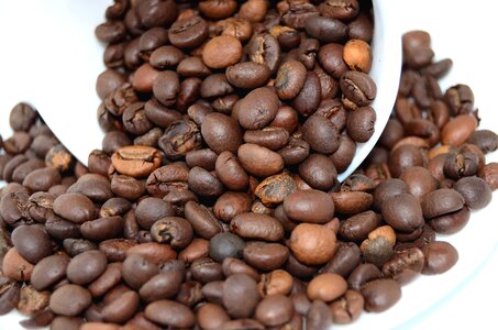 Beans coffee roasting photo