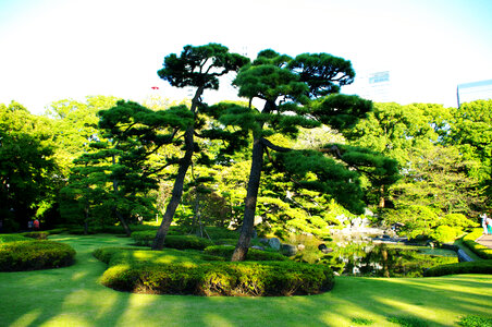 23 Imperial Palace