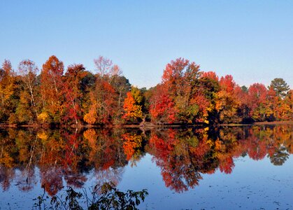 Lake park autumn photo