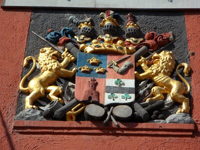 Lion knight middle ages