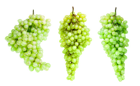 Green Grapes photo