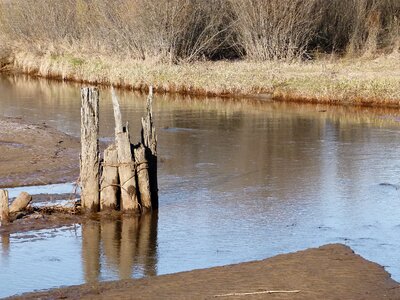 Marshland wetland landscape
