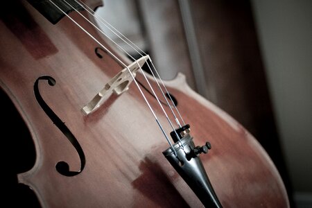 String musical stringed instrument photo