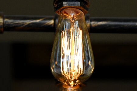 Chandelier light brown light bulb photo